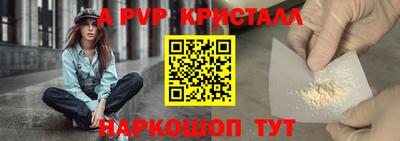 индика Новодвинск