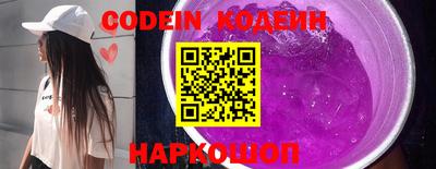 индика Новодвинск