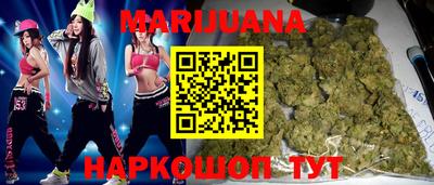 индика Новодвинск
