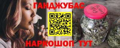 индика Новодвинск
