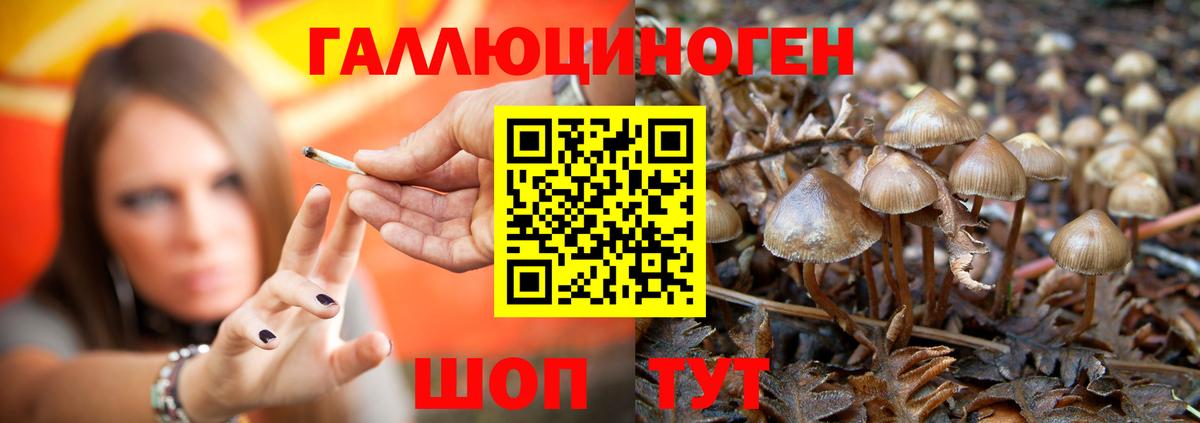Павлово  Галлюциногенные грибы мухоморы  Вход с VPN  Псилоцибиновые грибы ЛСД 